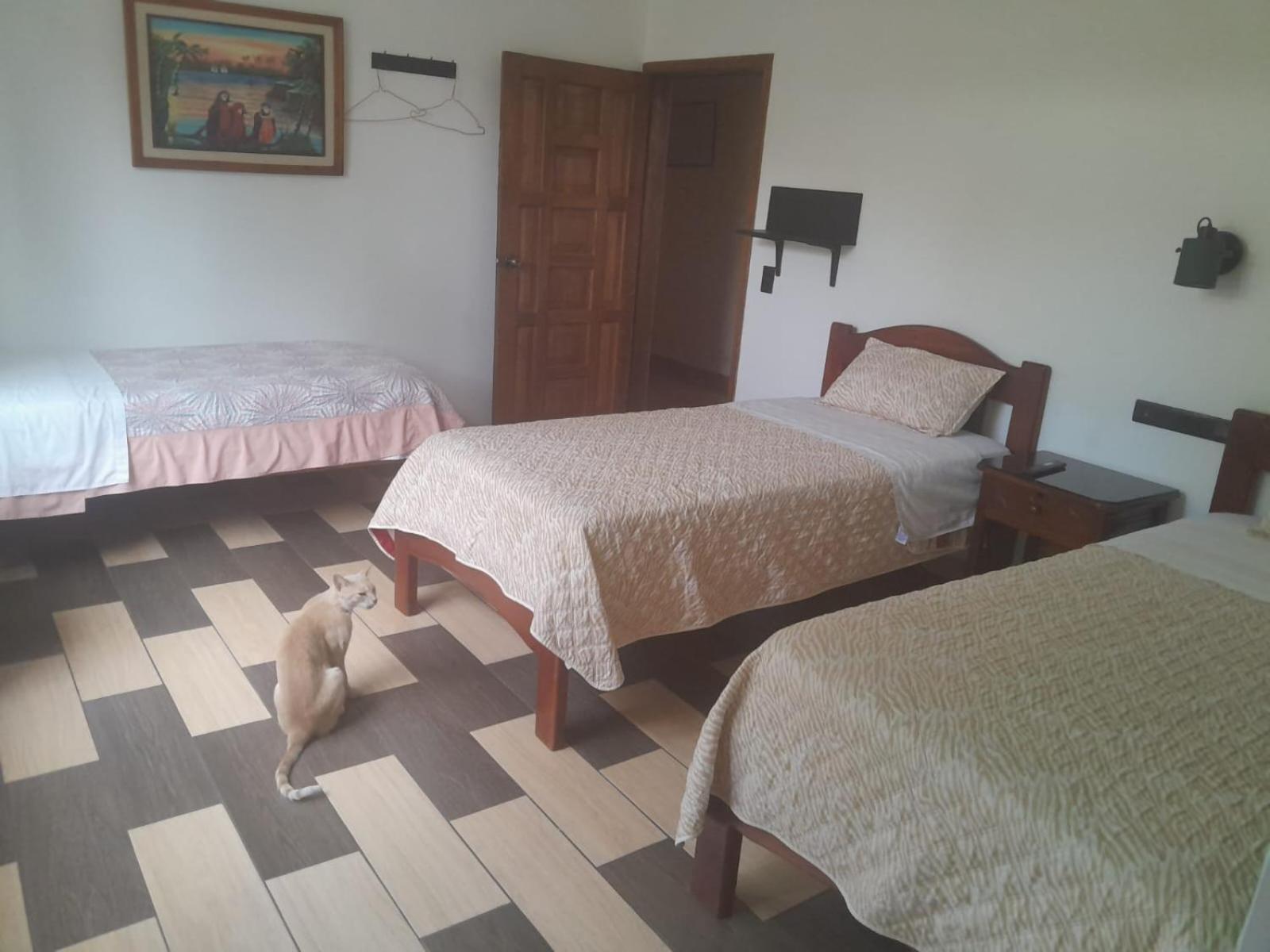 Hostal Limoncocha 테나 외부 사진