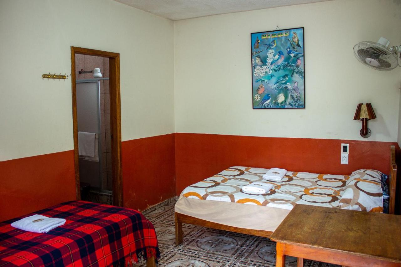 Hostal Limoncocha 테나 외부 사진